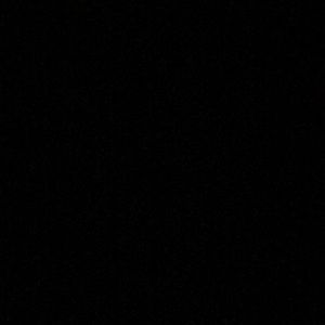 Meet your Posher, Baylee